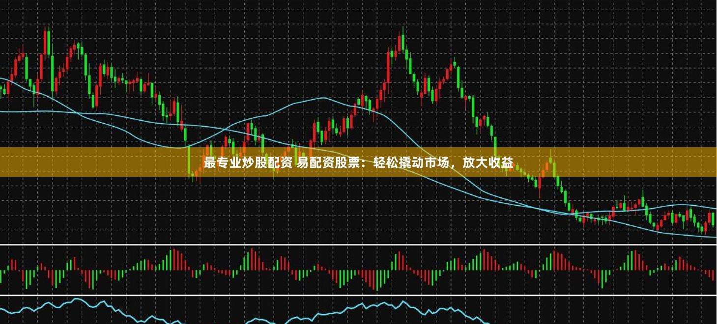 最专业炒股配资 易配资股票：轻松撬动市场，放大收益